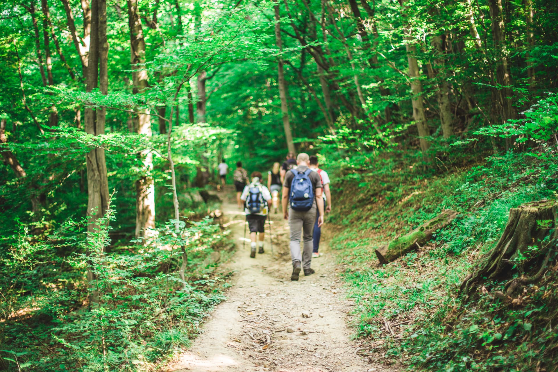 Hodočašće na Sljeme